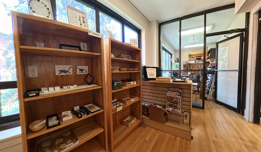 Mineral Museum - Amethyst Geode (Brazil)
